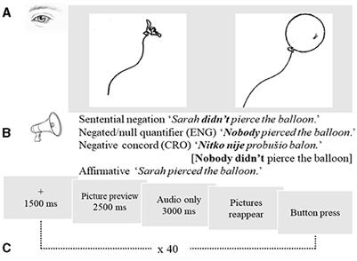 Looks at what isn't there: eye movements on a blank screen when processing negation in a first and a second language